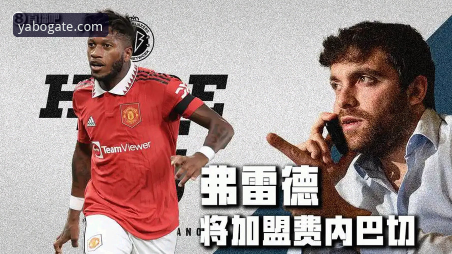 YABO体育官网平台注册与版本下载深度分析：实战派视角下的yabo下载对比