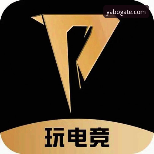 YABO体育官网实用指南：亚博电竞官网2026最新版本使用全攻略